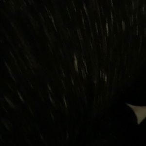 Meet your Posher, Carmen